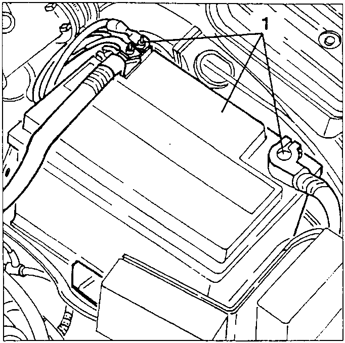Battery with disconnected terminals