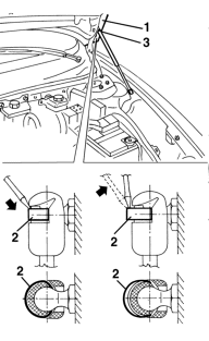 Bonnet
