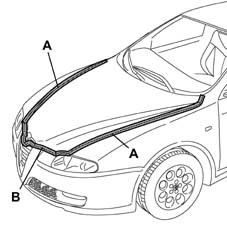 LOCATION OF BONNET WIND NOISE