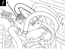 INJECTOR CABLE LOOM - R.R.