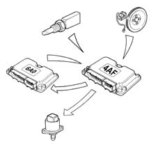 Introduction - CNG FUEL SYSTEM