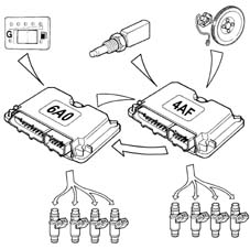 Introduction - CNG FUEL SYSTEM