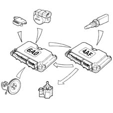 Introduction - CNG FUEL SYSTEM