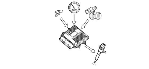 Introduction - DIESEL FUEL INJECTION