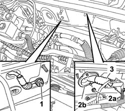 Cng injection wiring harness - arrange