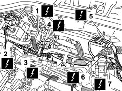 Cng injection wiring harness - arrange