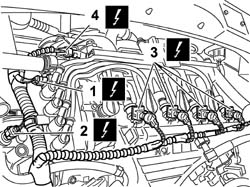 Cng injection wiring harness - arrange