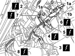 Cng injection wiring harness - arrange