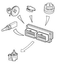Introduction - PETROL INJECTION SYSTEM