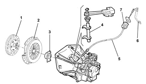 Introduction - CLUTCH
