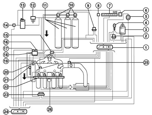 INTRODUCTION - CNG FUEL SYSTEM