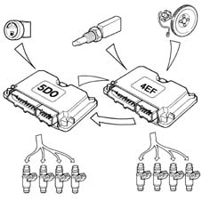 INTRODUCTION - CNG FUEL SYSTEM
