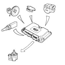Introduction - PETROL INJECTION SYSTEM