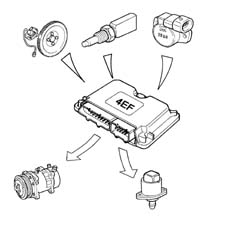 Introduction - PETROL INJECTION SYSTEM