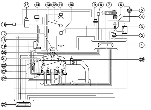 Introduction - LPG FUEL SYSTEM.