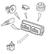 Introduction - PETROL INJECTION SYSTEM