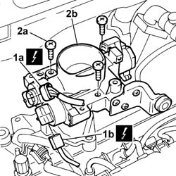 Throttle case - r + r