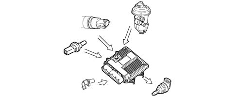 Introduction - DIESEL FUEL INJECTION