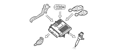 Introduction - DIESEL FUEL INJECTION