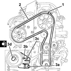 Toothed timing drive belt - R.R. with engine removed