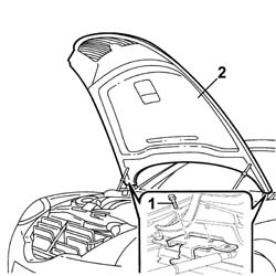 BONNET