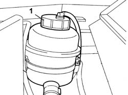 POWER ASSISTED STEERING FLUID - Replace