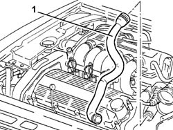 LOWER radaitor coolant outlet HOSE - R.R.
