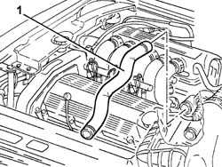 UPPER radiator coolant inlet HOSE - R.R.