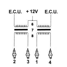 Introduction - PETROL INJECTION SYSTEM