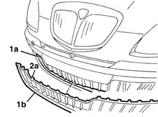 Grille on front bumpers r r