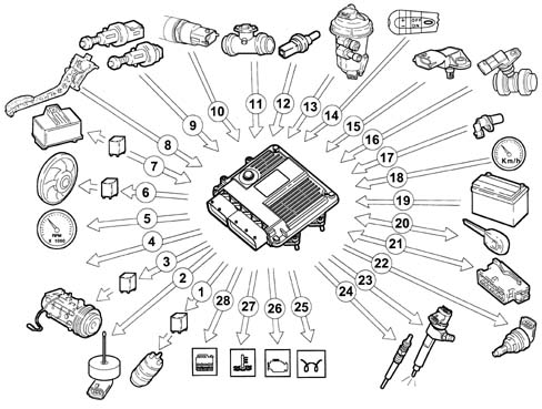Introduction - DIESEL FUEL INJECTION