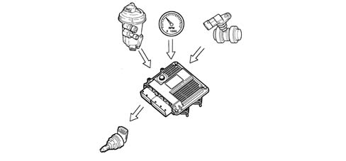 Introduction - DIESEL FUEL INJECTION
